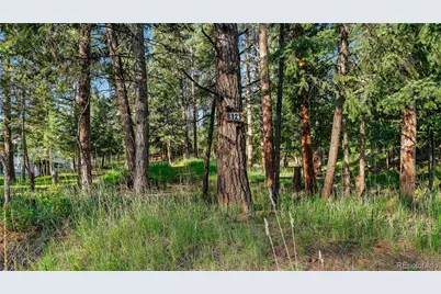 8125 Bannock Drive, Larkspur, CO 80118 - Photo 13