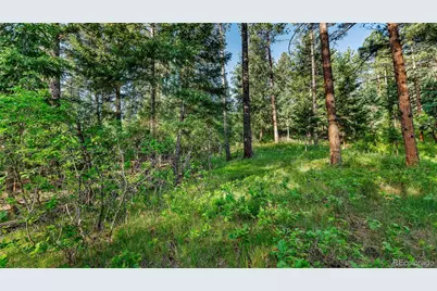 8125 Bannock Drive, Larkspur, CO 80118 - Photo 37