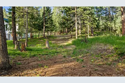 8125 Bannock Drive, Larkspur, CO 80118 - Photo 5