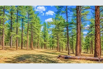 196 Freeman Drive, Florissant, CO 80816 - Photo 9