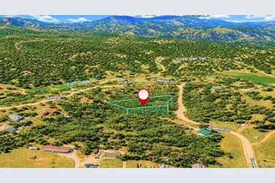 196 Freeman Drive, Florissant, CO 80816 - Photo 15