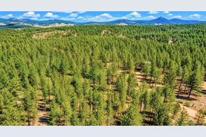 196 Freeman Drive, Florissant, CO 80816 - Photo 3