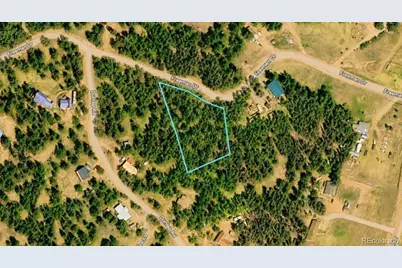 196 Freeman Drive, Florissant, CO 80816 - Photo 19