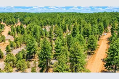 196 Freeman Drive, Florissant, CO 80816 - Photo 7