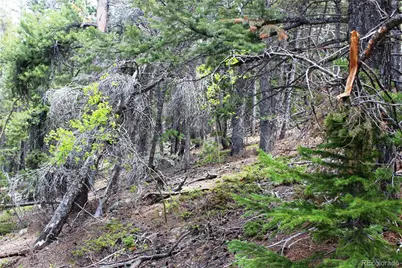 19129 Eliza, Idaho Springs, CO 80461 - Photo 9
