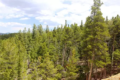 19129 Eliza, Idaho Springs, CO 80461 - Photo 3