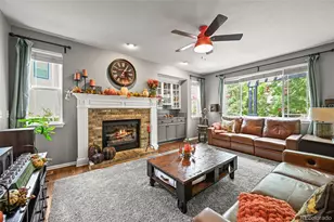 10653 Briarglen Cir, Highlands Ranch, CO 80130 - Photo 3