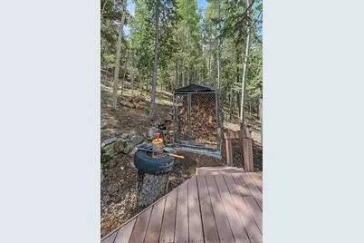 11471 Marks Drive, Conifer, CO 80433 - Photo 5