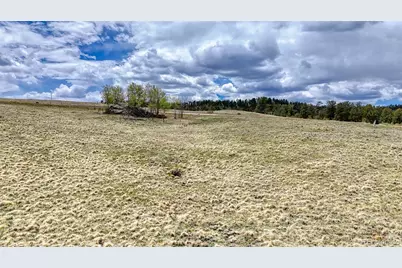 Lot 007 County Road 403, Florissant, CO 80816 - Photo 13