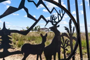 14975 US Hwy 385, Julesburg, CO 80737 - Photo 39