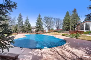 8437 Thunder Ridge Way, Highlands Ranch, CO 80126 - Photo 25