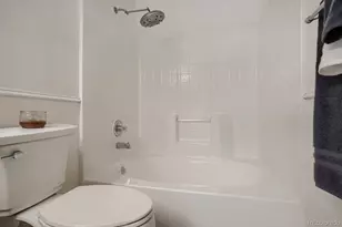 8437 Thunder Ridge Way, Highlands Ranch, CO 80126 - Photo 15