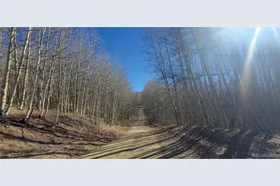 Lot's 6414 & 6415 Bronfman Road, Fort Garland, CO 81133 - Photo 13