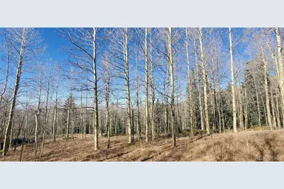 Lot's 6414 & 6415 Bronfman Road, Fort Garland, CO 81133 - Photo 7