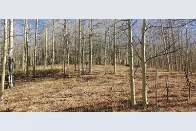 Lot's 6414 & 6415 Bronfman Road, Fort Garland, CO 81133 - Photo 1