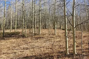 Lot's 6414 & 6415 Bronfman Rd, Fort Garland, CO 81133 - Photo 1