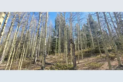 Lot's 6414 & 6415 Bronfman Road, Fort Garland, CO 81133 - Photo 17