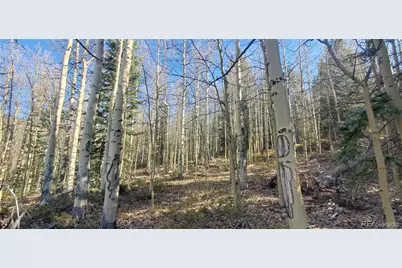 Lot's 6414 & 6415 Bronfman Road, Fort Garland, CO 81133 - Photo 15