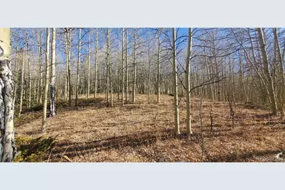 Lot's 6414 & 6415 Bronfman Road, Fort Garland, CO 81133 - Photo 3