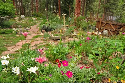 3137 Meadow View Road, Evergreen, CO 80439 - Photo 1