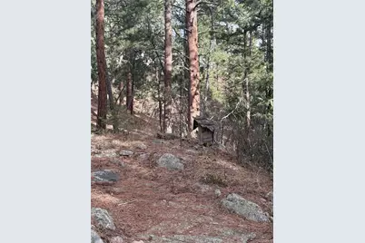 3137 Meadow View Road, Evergreen, CO 80439 - Photo 23