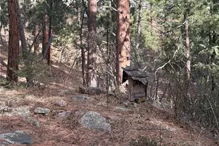 3137 Meadow View Rd, Evergreen, CO 80439 - Photo 23