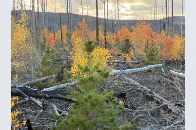 Lot 1368 Kings Lane, Fort Garland, CO 81133 - Photo 7
