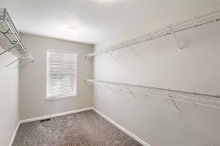 3378 Shoveler Trail, Castle Rock, CO 80104 - Photo 13