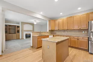 9245 Mountain Brush Ct, Highlands Ranch, CO 80130 - Photo 11