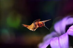 16679 Hwy 96, Wetmore, CO 81253 - Photo 29