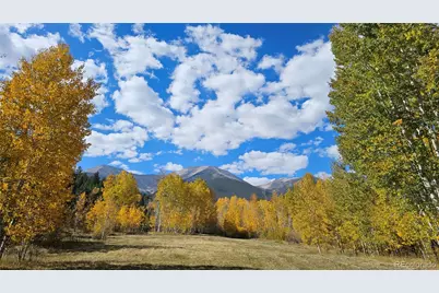 24559 Co Rd 339, Buena Vista, CO 81211 - Photo 45