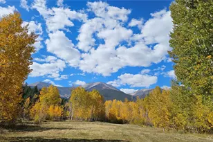24559 Co Rd 339, Buena Vista, CO 81211 - Photo 45
