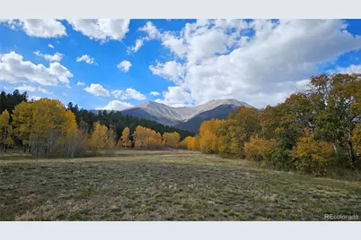 24559 Co Rd 339, Buena Vista, CO 81211 - Photo 47