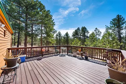 1299 Pikes Peak Drive, Florissant, CO 80816 - Photo 3