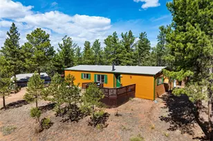 1299 Pikes Peak Dr, Florissant, CO 80816 - Photo 27