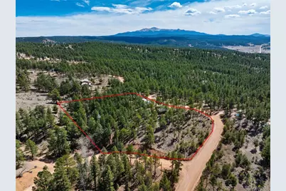 1299 Pikes Peak Drive, Florissant, CO 80816 - Photo 31