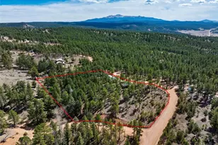 1299 Pikes Peak Dr, Florissant, CO 80816 - Photo 31