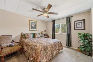 1299 Pikes Peak Dr, Florissant, CO 80816 - Photo 19