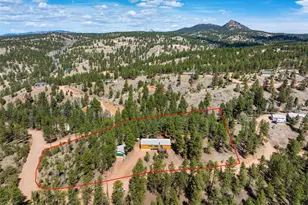 1299 Pikes Peak Dr, Florissant, CO 80816 - Photo 29