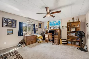 1299 Pikes Peak Dr, Florissant, CO 80816 - Photo 17