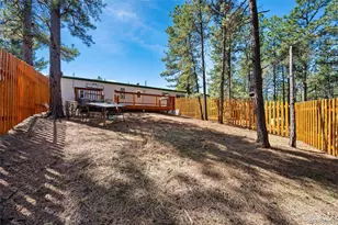 1299 Pikes Peak Dr, Florissant, CO 80816 - Photo 23