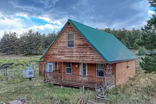 308 Dilley Ln, Westcliffe, CO 81252 - Photo 25