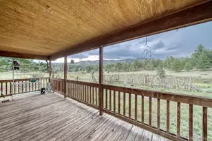 308 Dilley Ln, Westcliffe, CO 81252 - Photo 23