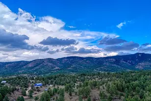 308 Dilley Ln, Westcliffe, CO 81252 - Photo 39