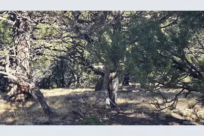 Lot 4510 Iannelli Road, Fort Garland, CO 81133 - Photo 23