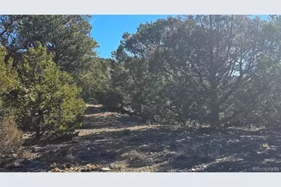 Lot 4510 Iannelli Road, Fort Garland, CO 81133 - Photo 25