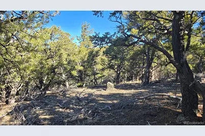 Lot 4510 Iannelli Road, Fort Garland, CO 81133 - Photo 19