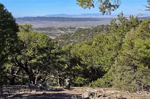 Lot 4510 Iannelli Rd, Fort Garland, CO 81133 - Photo 1