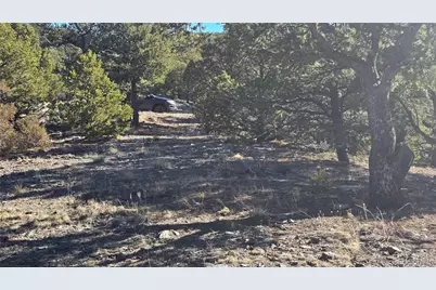 Lot 4510 Iannelli Road, Fort Garland, CO 81133 - Photo 9