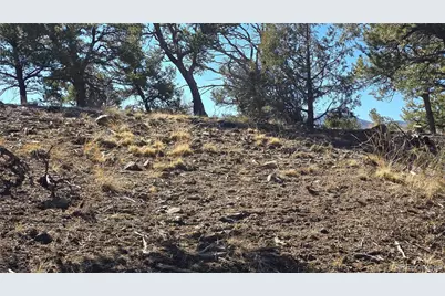 Lot 4510 Iannelli Road, Fort Garland, CO 81133 - Photo 11